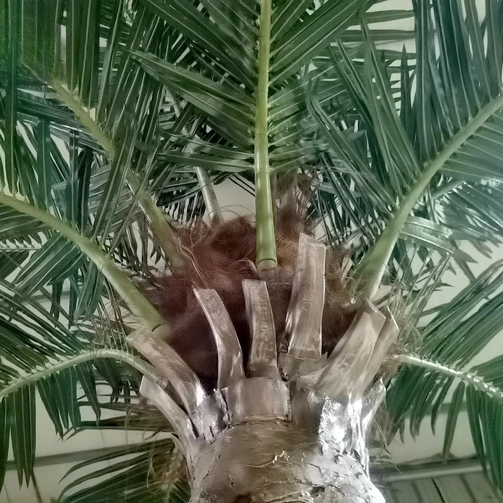 Artificial Canary Date Palm Tree Customized Height Outdoor Display