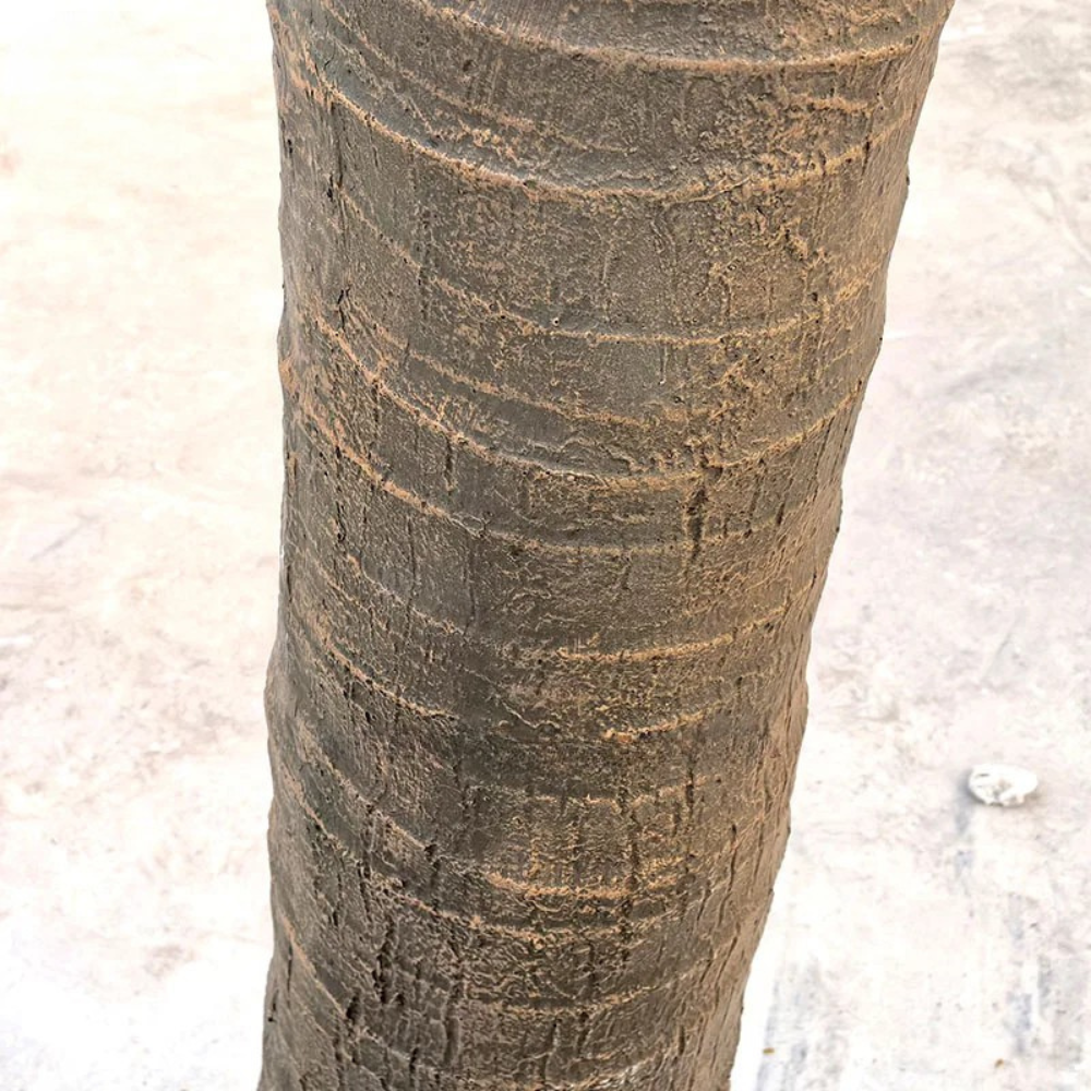 Artificial Coconut Palm Tree Eco-Friendly Fiberglass Indoor Outdoor