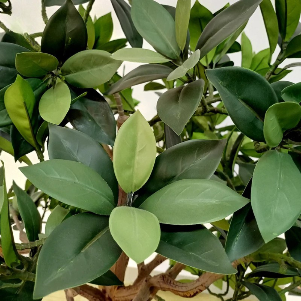 Artificial Large Mangrove Tree Custom Size Indoor Outdoor Use