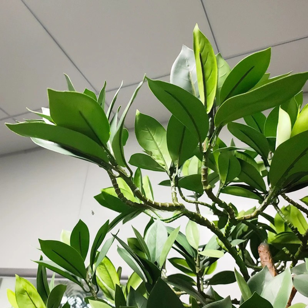 Artificial Large Mangrove Tree Custom Size Indoor Outdoor Use