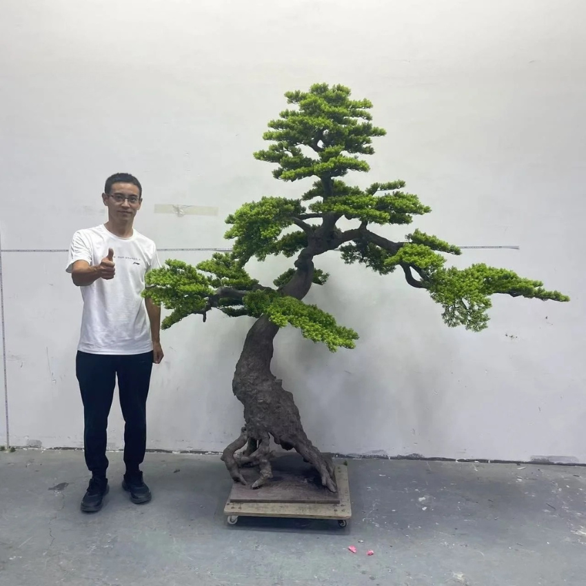 Artificial Bonsai Pine Tree Faux Cedar 6.5 FT