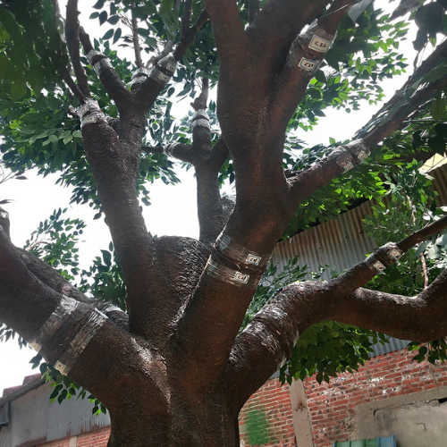 Artificial Ficus Banyan Tree for Indoor Decor