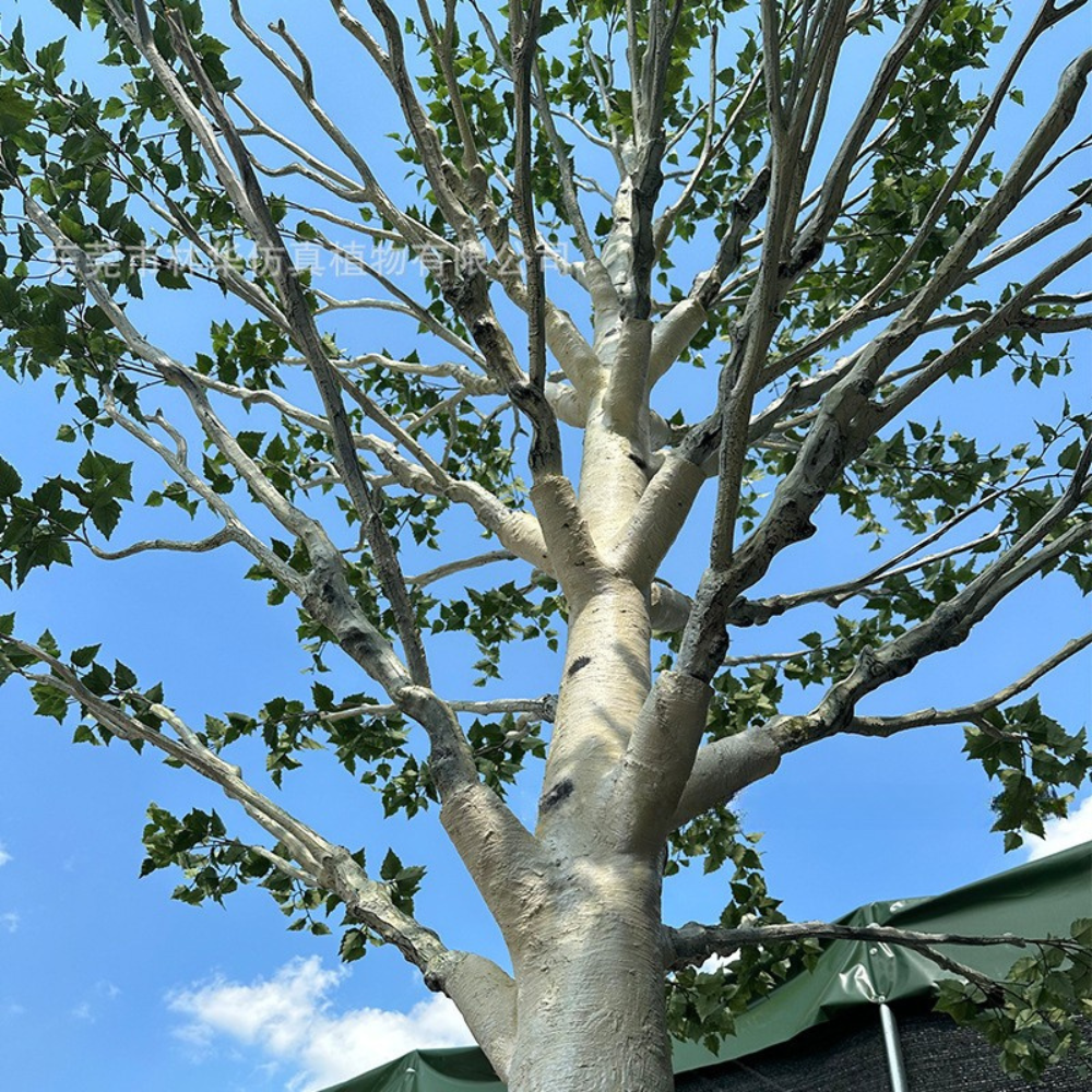 Large Artificial Birch Tree for Indoor Outdoor Decor