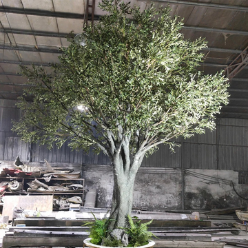 Artificial Olive Tree 4.8m White Planter Indoor Use