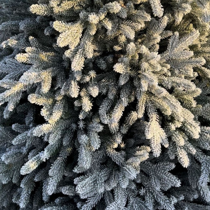 Artificial White Christmas Tree High-Density Velvet Luxury Display