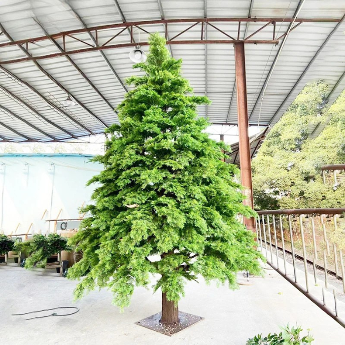 Tall green tree in a greenhouse setting