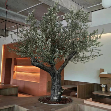 Artificial Olive Tree 8 FT Realistic Design for Café and Hotel