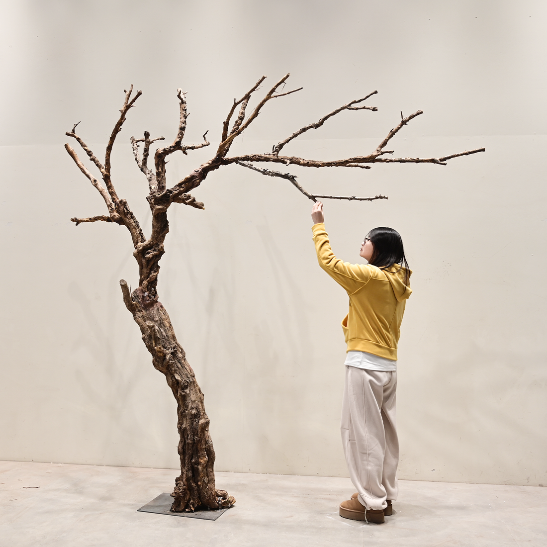 Artificial Dead Tree Bare Trunk for Commercial Landscape