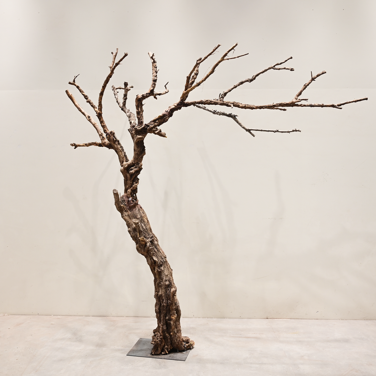 Artificial Dead Tree Bare Trunk for Commercial Landscape