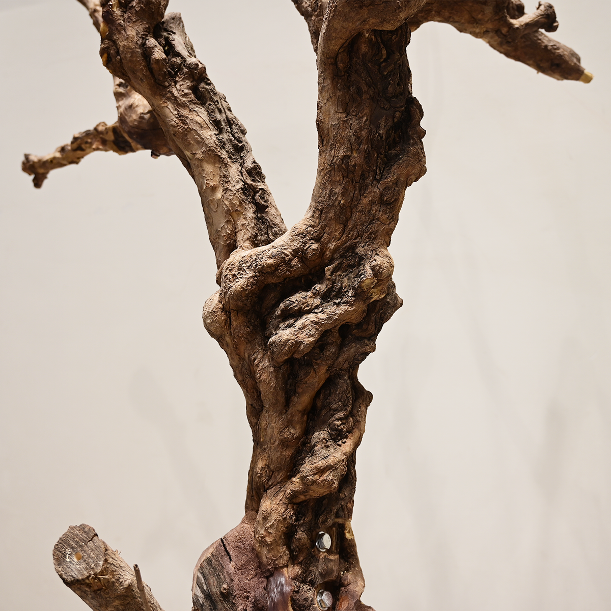 Artificial Dead Tree Bare Trunk for Commercial Landscape