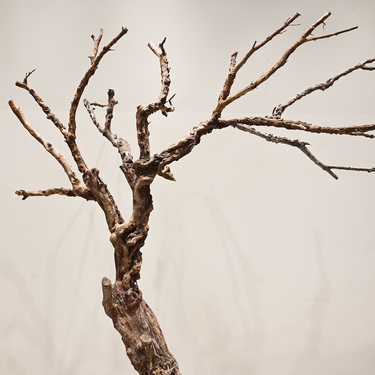 Artificial Dead Tree Bare Trunk for Commercial Landscape