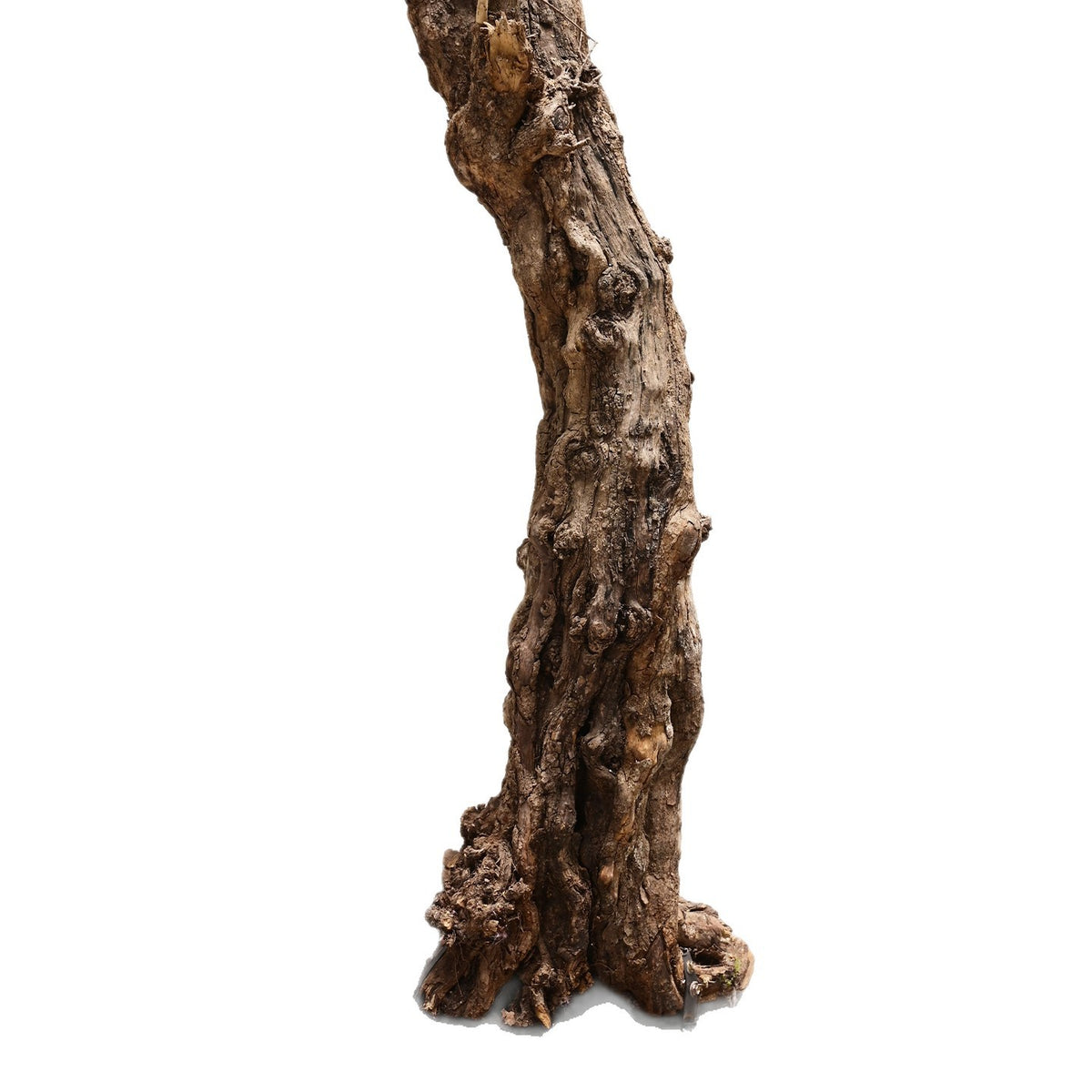 Artificial Dead Tree Bare Trunk for Commercial Landscape