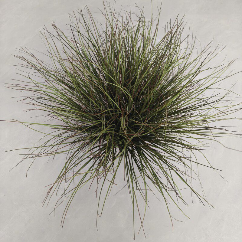 Artificial Foxtail Grass Stems Reed Faux Plants for Decorating
