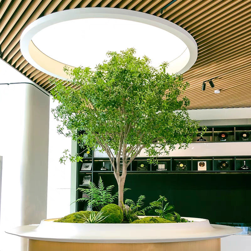 Artificial Pieris Japonica Tree for Store Displays
