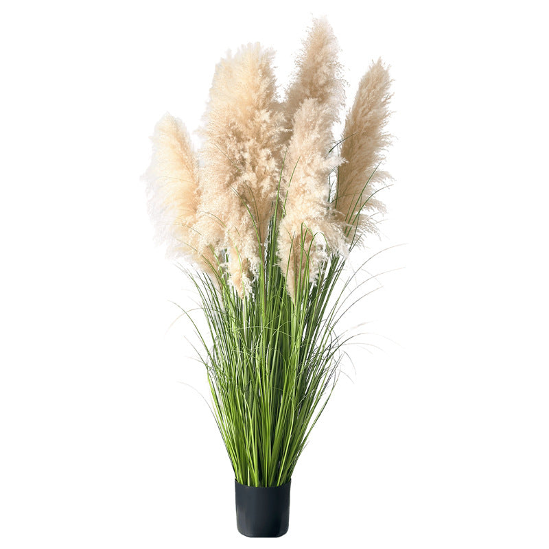 Artificial Reed Grass Stems Pampas Grass for Store Design