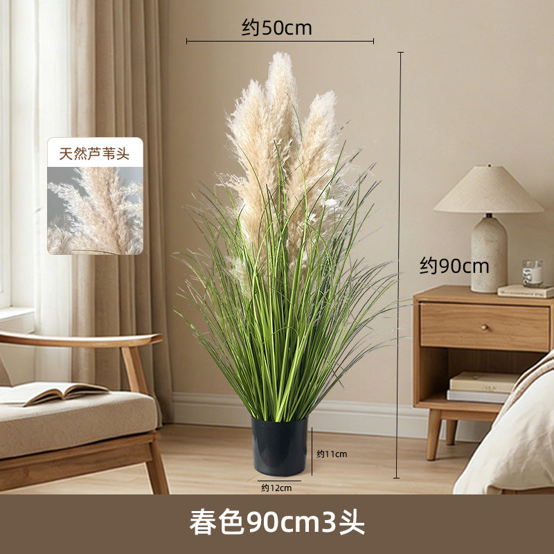 Artificial Reed Grass Stems Pampas Grass for Store Design