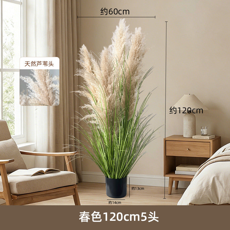 Artificial Reed Grass Stems Pampas Grass for Store Design