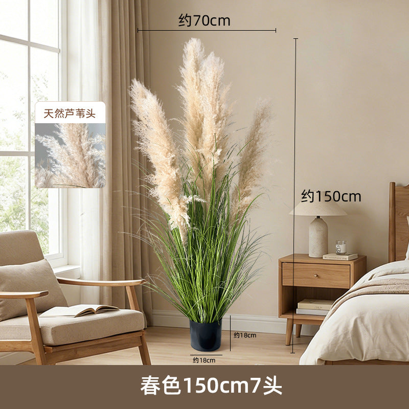 Artificial Reed Grass Stems Pampas Grass for Store Design
