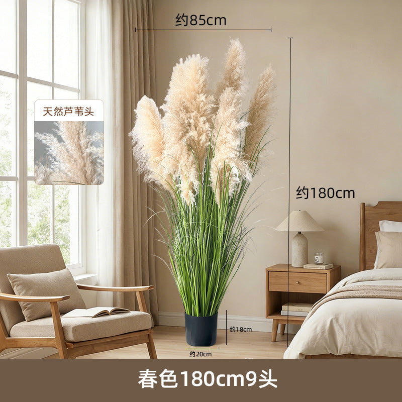 Artificial Reed Grass Stems Pampas Grass for Store Design