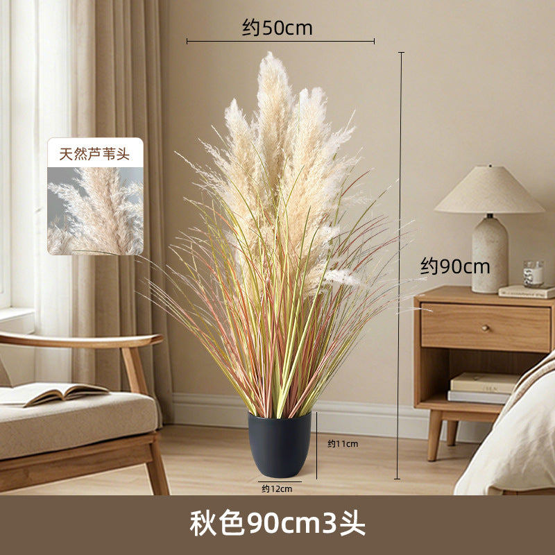 Artificial Reed Grass Stems Pampas Grass for Store Design