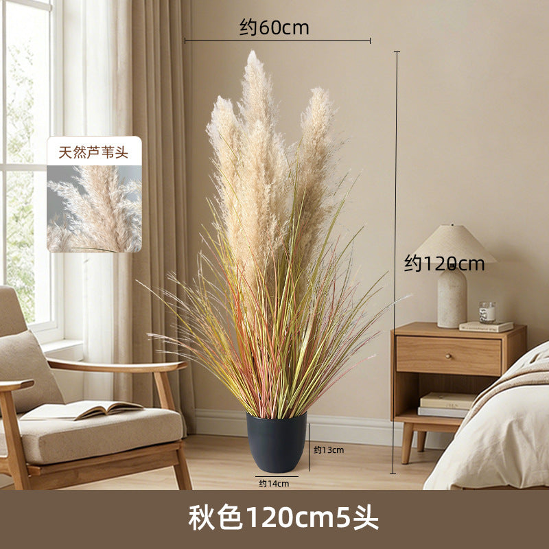 Artificial Reed Grass Stems Pampas Grass for Store Design