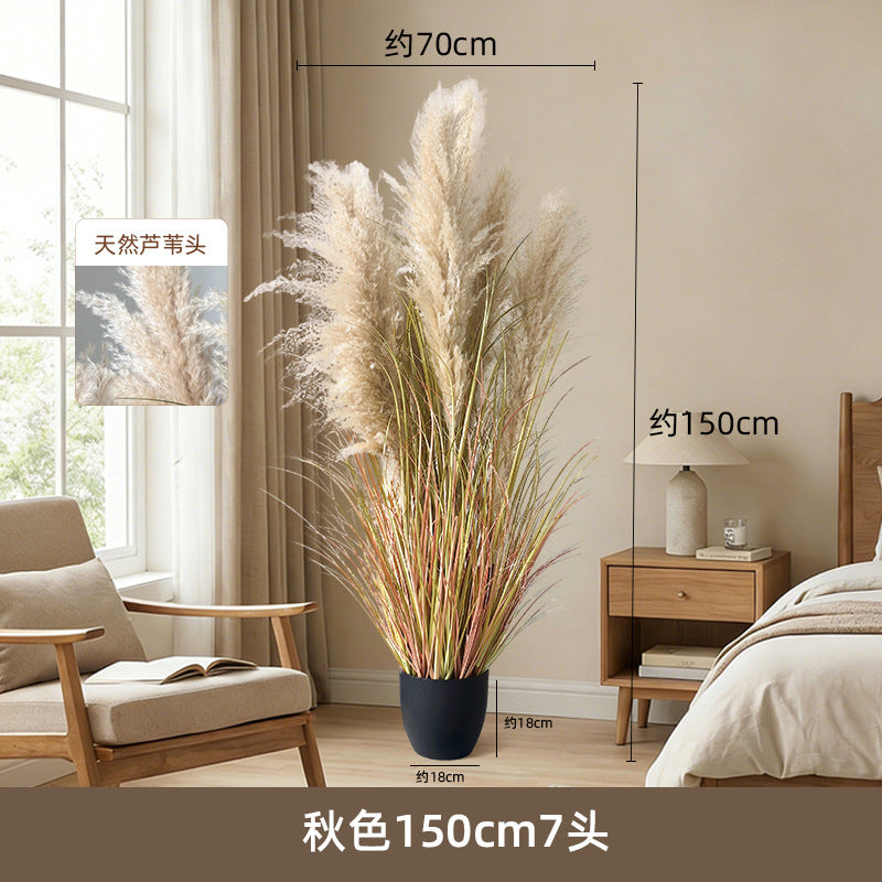Artificial Reed Grass Stems Pampas Grass for Store Design