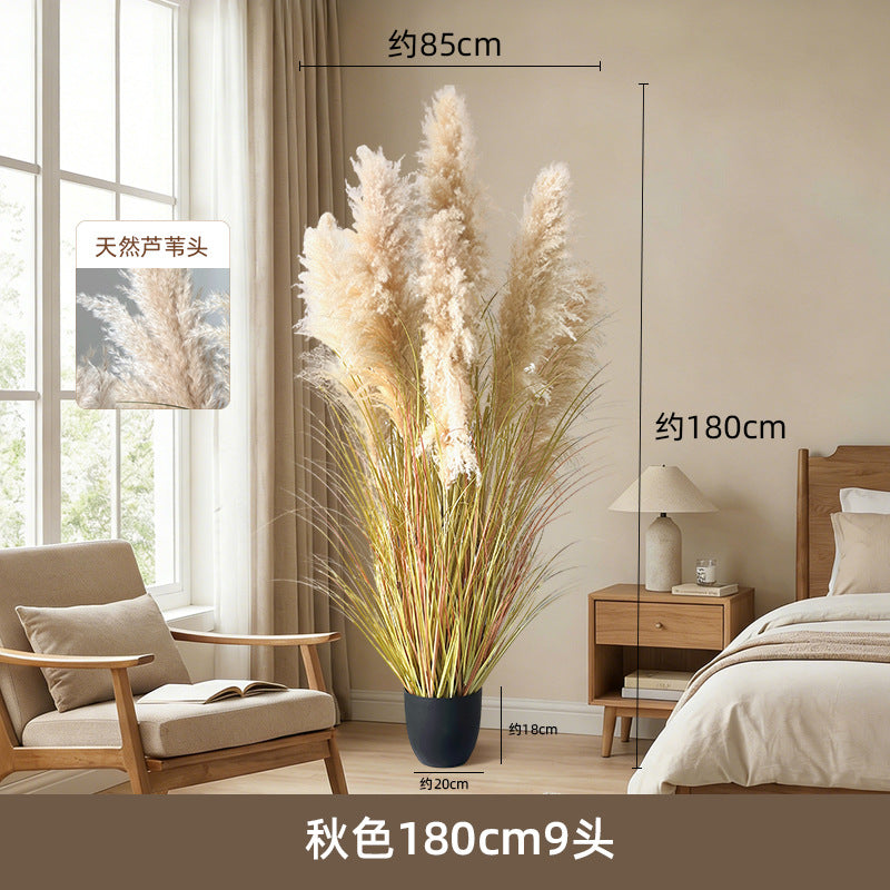 Artificial Reed Grass Stems Pampas Grass for Store Design