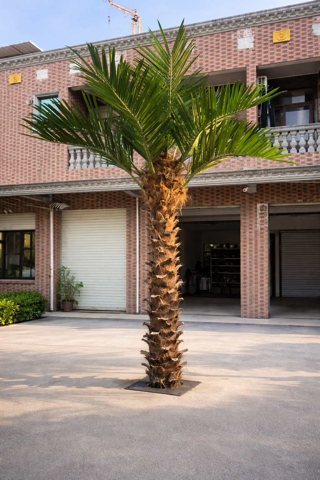 Large Faux Coconut Palm Tree Indoor Outdoor