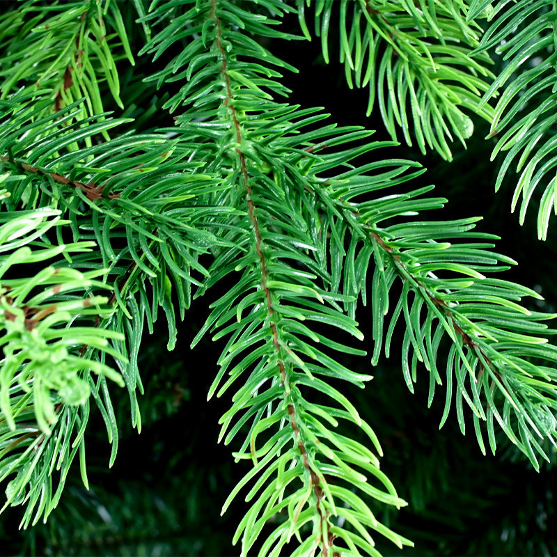 Balsam Fir Artificial Christmas Tree with Dense Green Hinged Branches