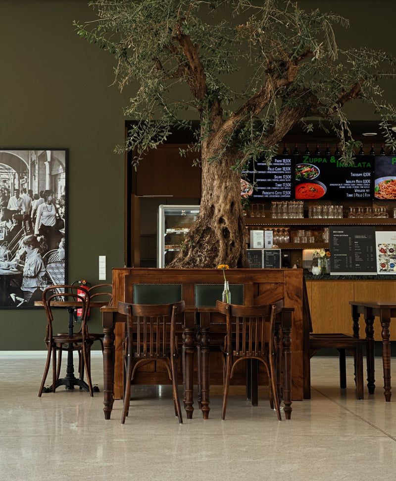 Artificial olive tree in a stylish restaurant or café interior