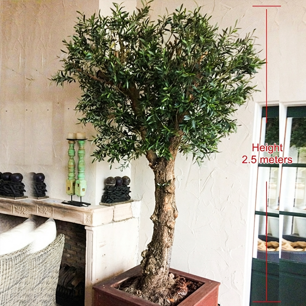 Custom Artificial Olive Tree Fiberglass Decorative 8 ft