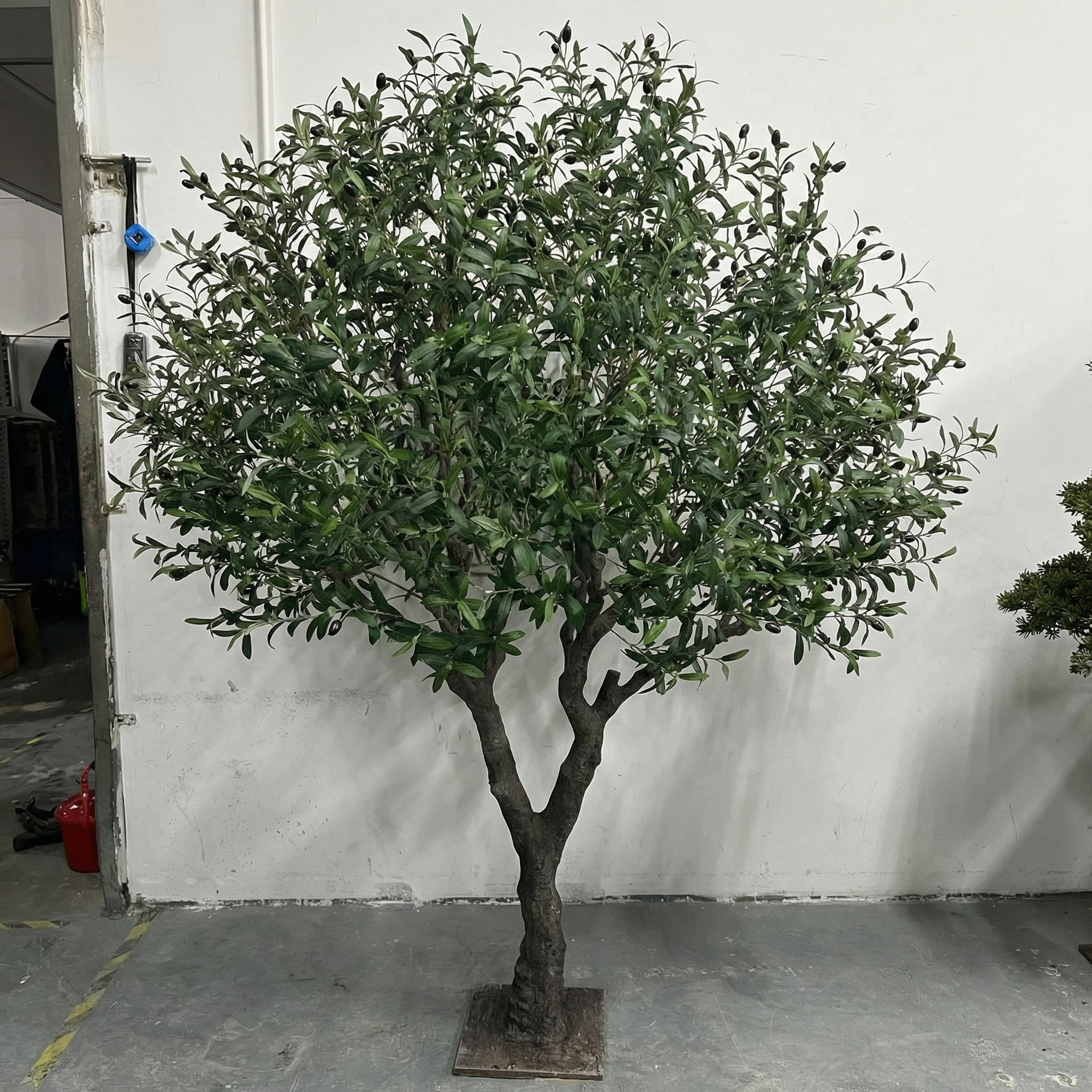 Artificial Olive Tree Plastic PVC With Wood Branch 6.5 FT