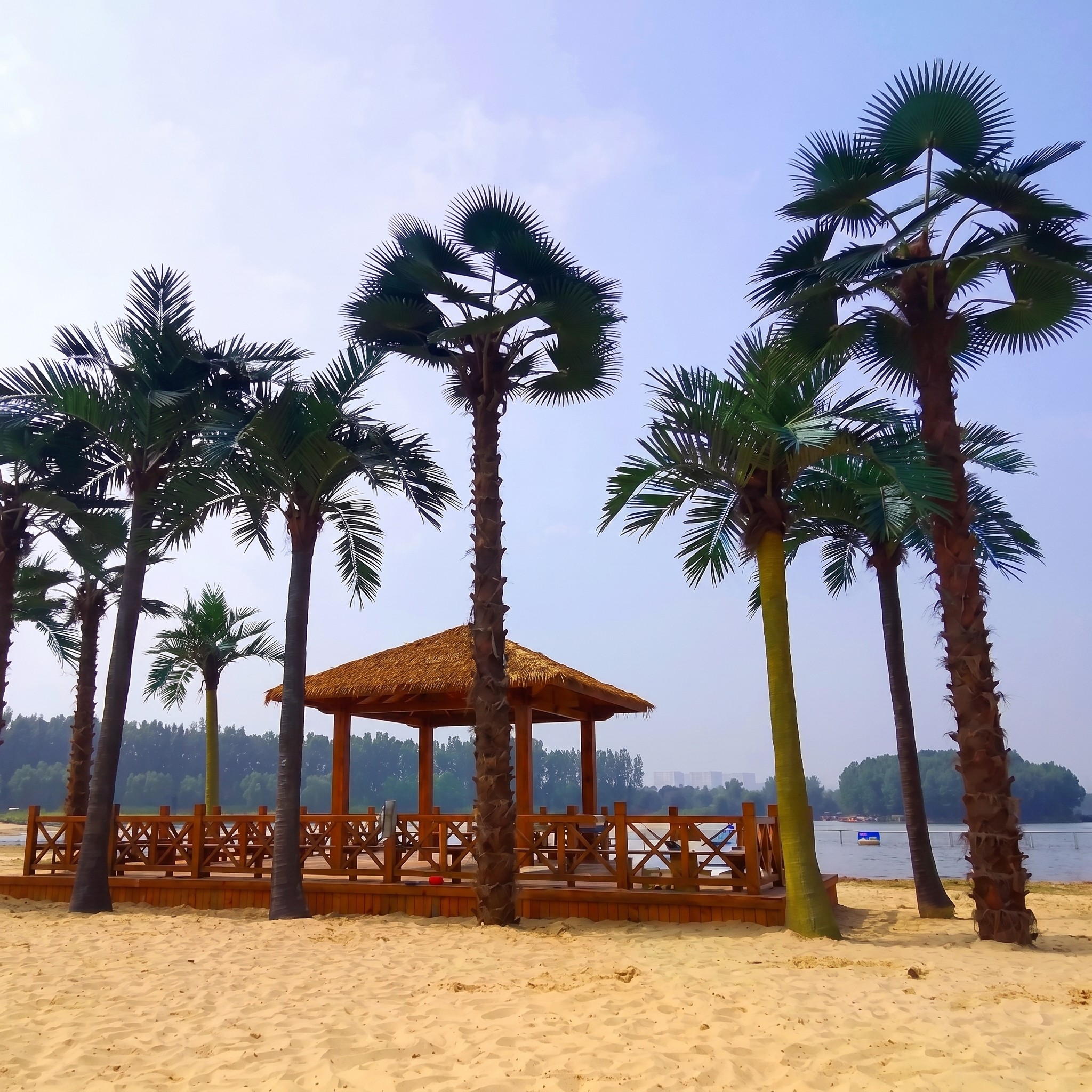 Tall Artificial Palm Tree for Tropical Commercial Interiors