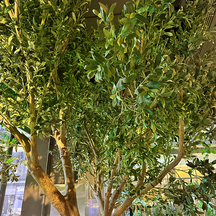 Large Faux Olive Tree for Home or Office Decor