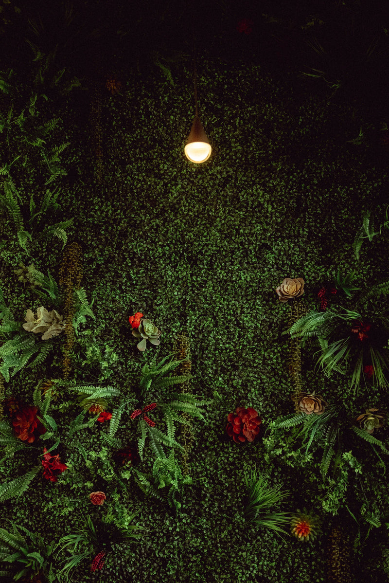 Dense artificial green wall with rich foliage