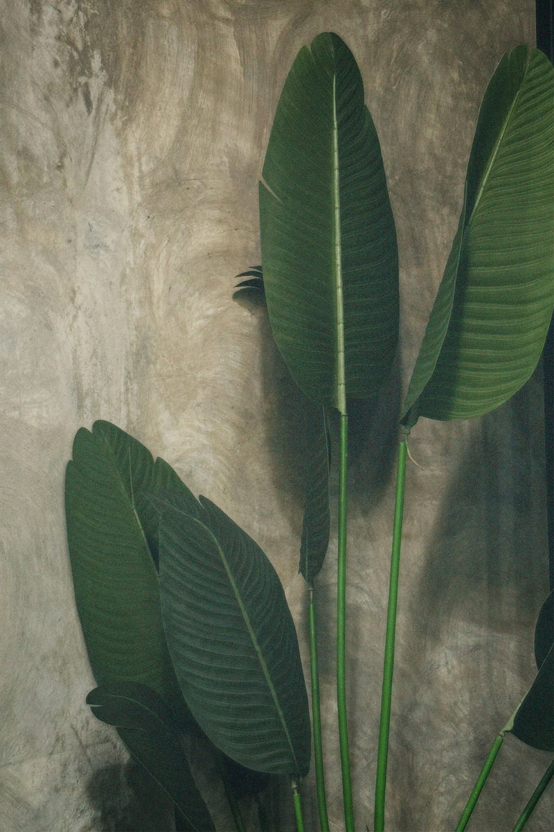 Tropical leaves and palms artificial green wall
