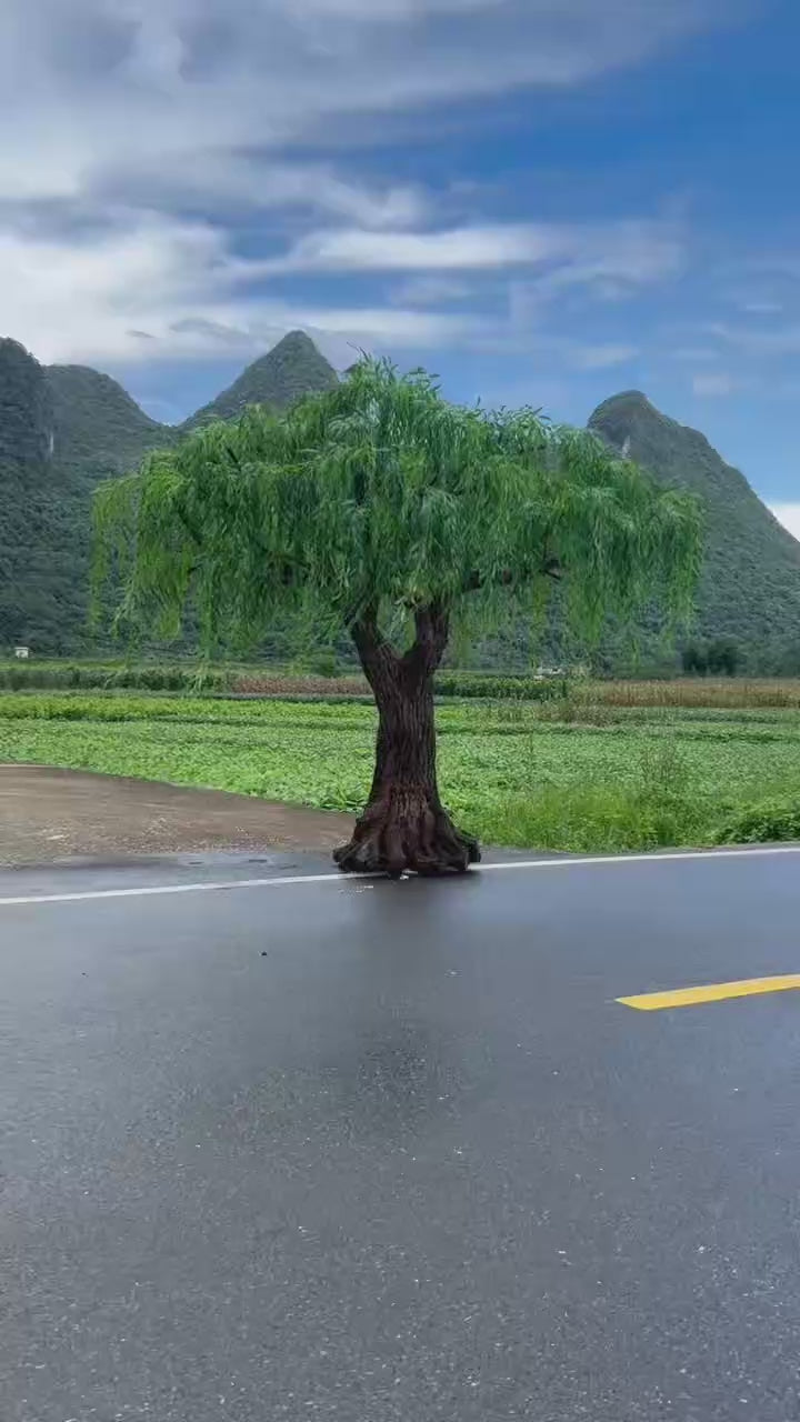 Artificial Weeping Willow Tree 8 FT Outdoor Use