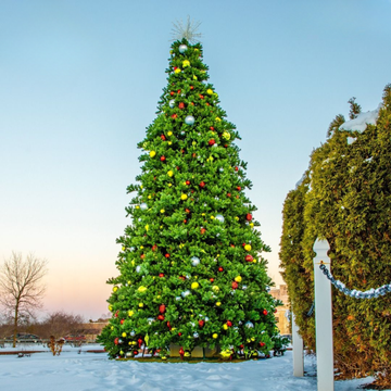 Outdoor Giant Commercial Red Luxury Christmas Tree With LEDs